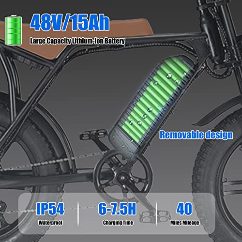 20" Fat Tire 48V 15Ah Removable Battery Electric Bicycle 750W 30MPH Shimano 7 Speed T282