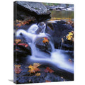 Autumn Leaves in Little River Art Print C383