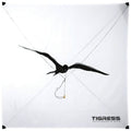 White Wind Kite D274