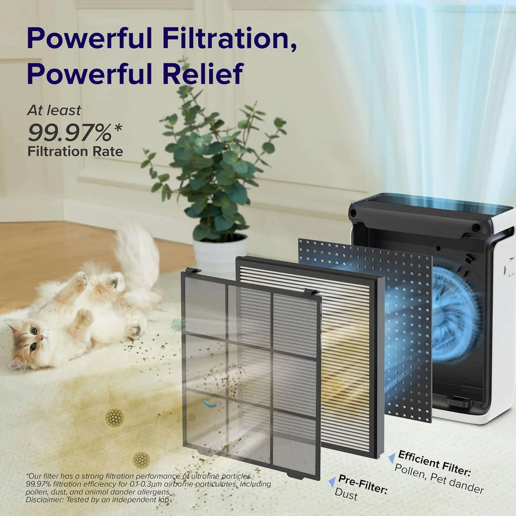 Air Purifier R967
