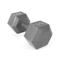 Grey Solid Hex Dumbbell 65 lbs V632