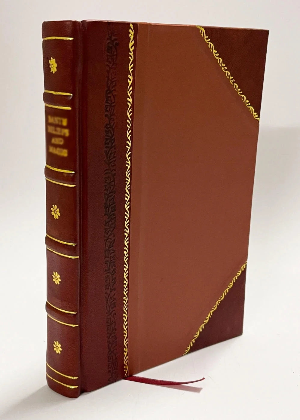 Leather Bound Book V577637