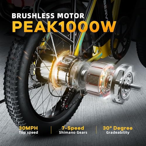 20" Fat Tire 1000W Folding Electric Bike with 48V Removable Battery V370505