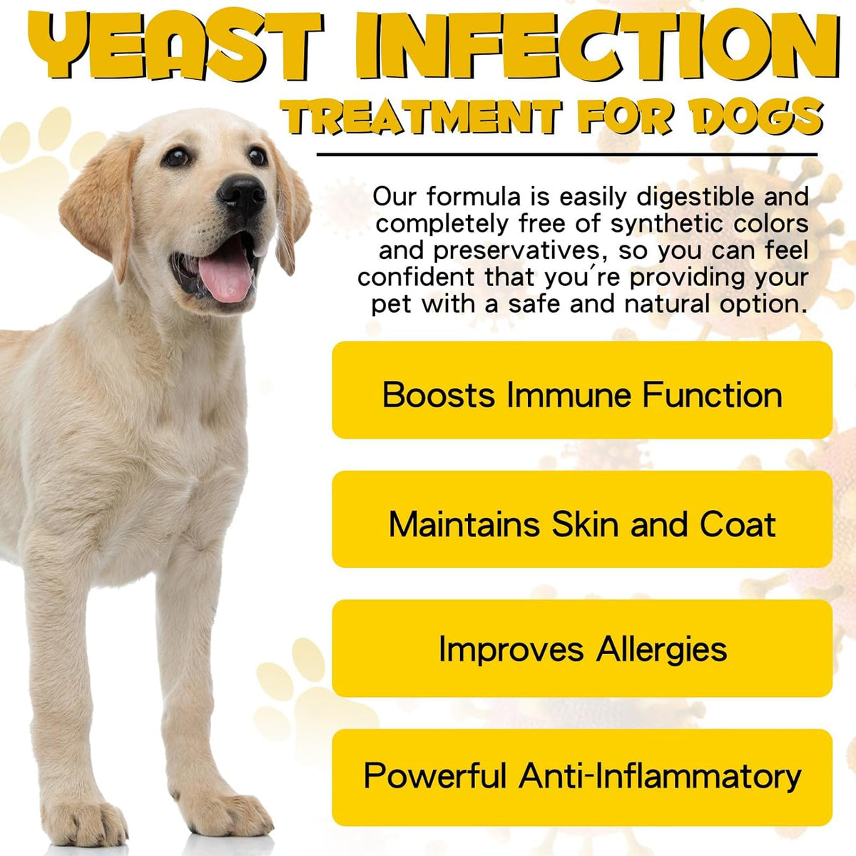 Dog Yeast Infection Treatment Y2673