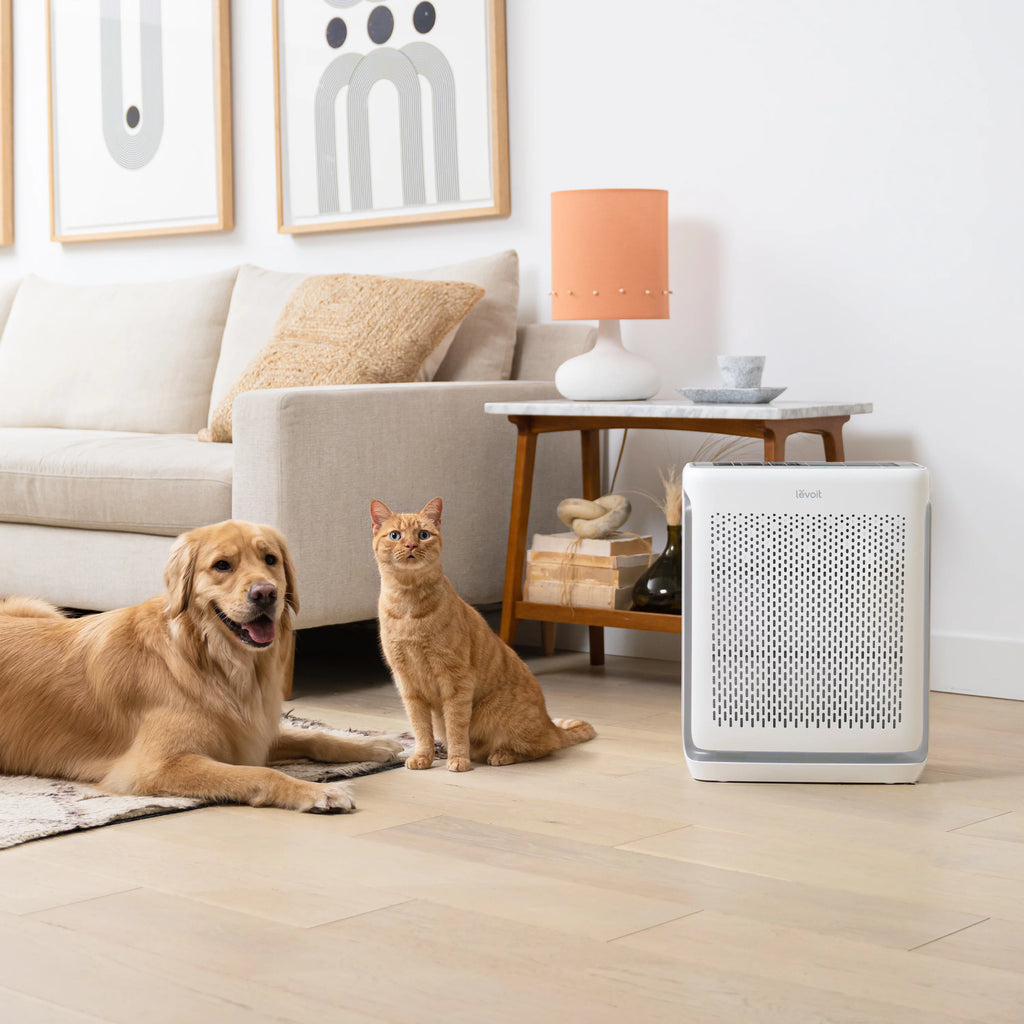 Air Purifier R967