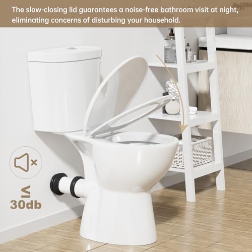 Rear Outlet Toilet With 19 Inch Tall Toilet Bowl & Tank S1157