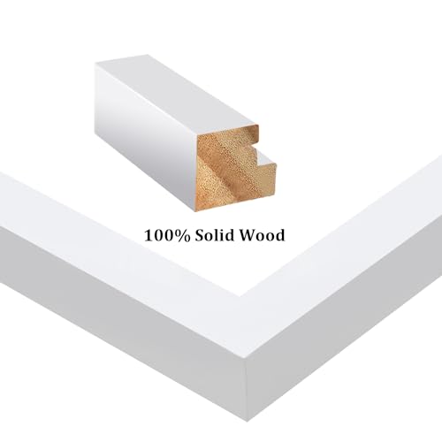 White 8x10 Picture Frames Set of 6 Solid Wood Plexiglass D630