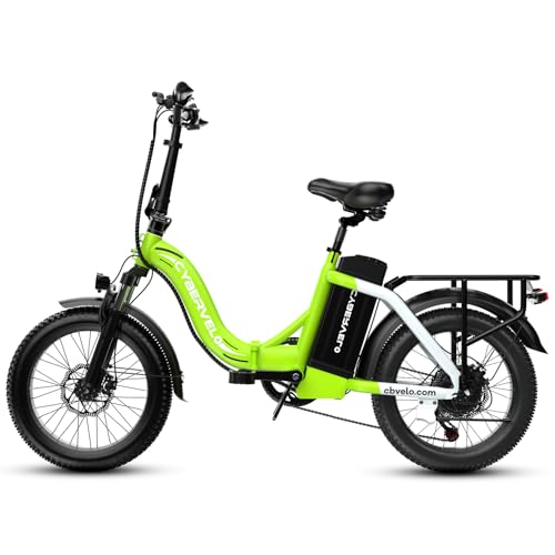 20" Fat Tire 1000W Folding Electric Bike with 48V Removable Battery V370505