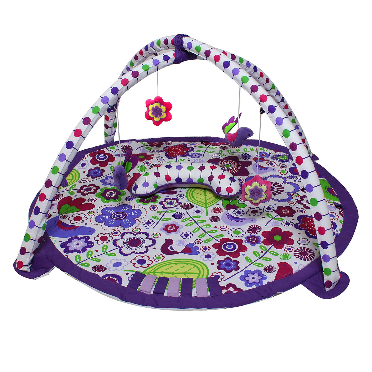 Purple Activity Gym with Mat P510