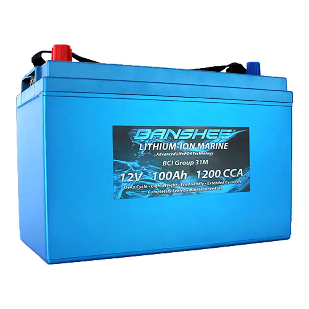 12 Volt Dual Purpose Deep Cycle Lithium RV Battery Group 31 L341