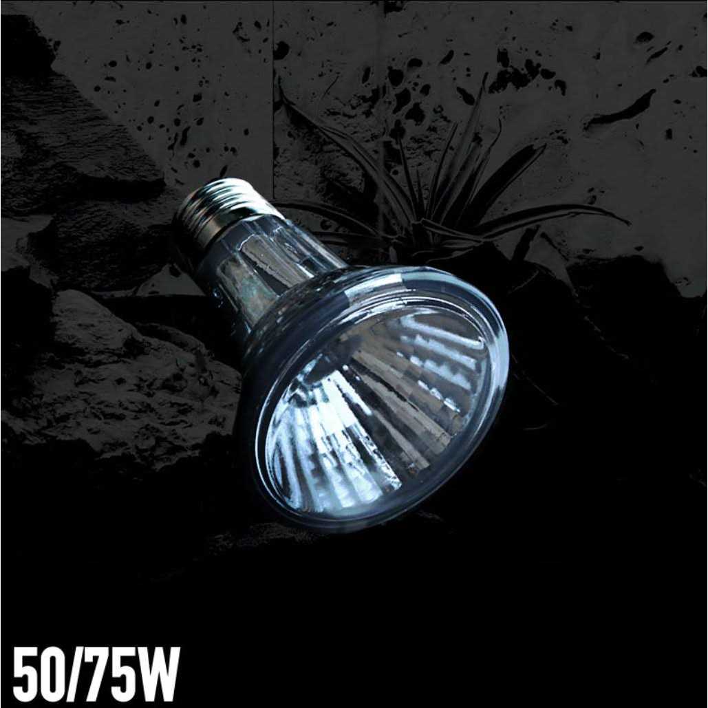 Halogen Heat Lamp L25369