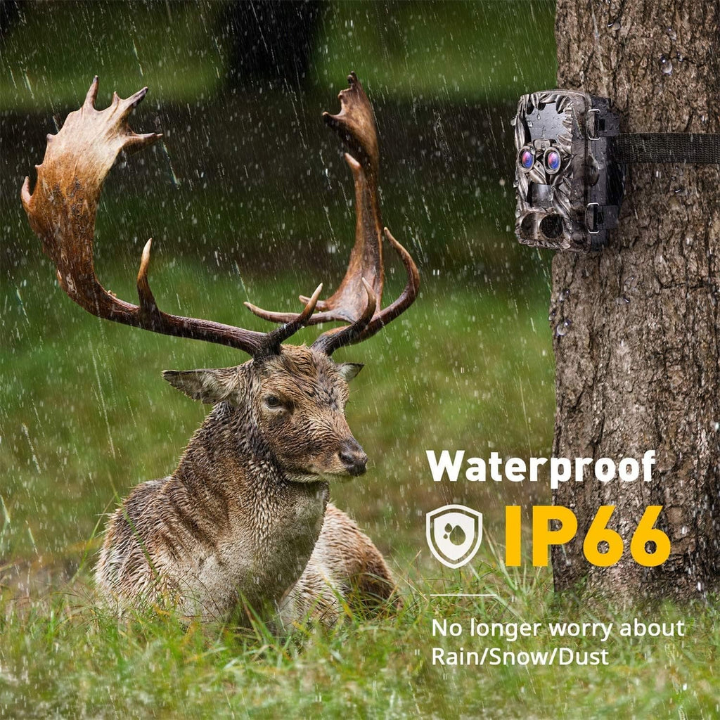 4K 20MP Dual Lens Trail Camera with Night Vision L949