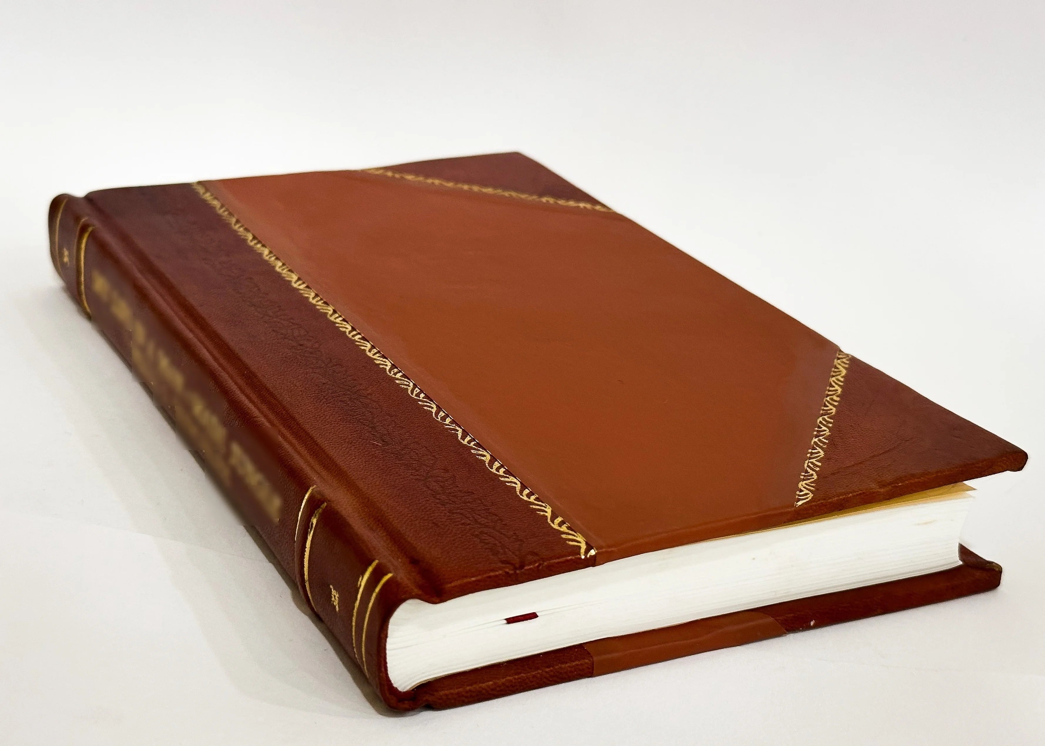 Leather Bound Book V577637