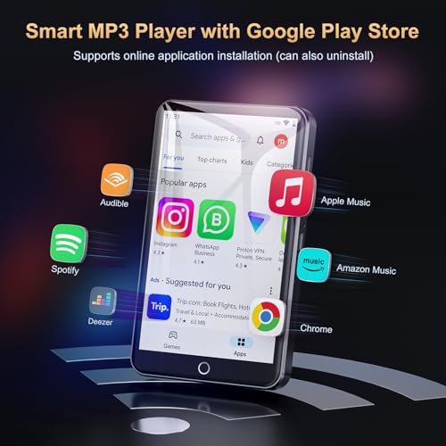 80GB MP3 Player with Bluetooth and WiFi, 4.0" IPS Touch Screen Android Player (Black) T77822