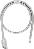 Stainless Steel Finish Hose and Head F7841