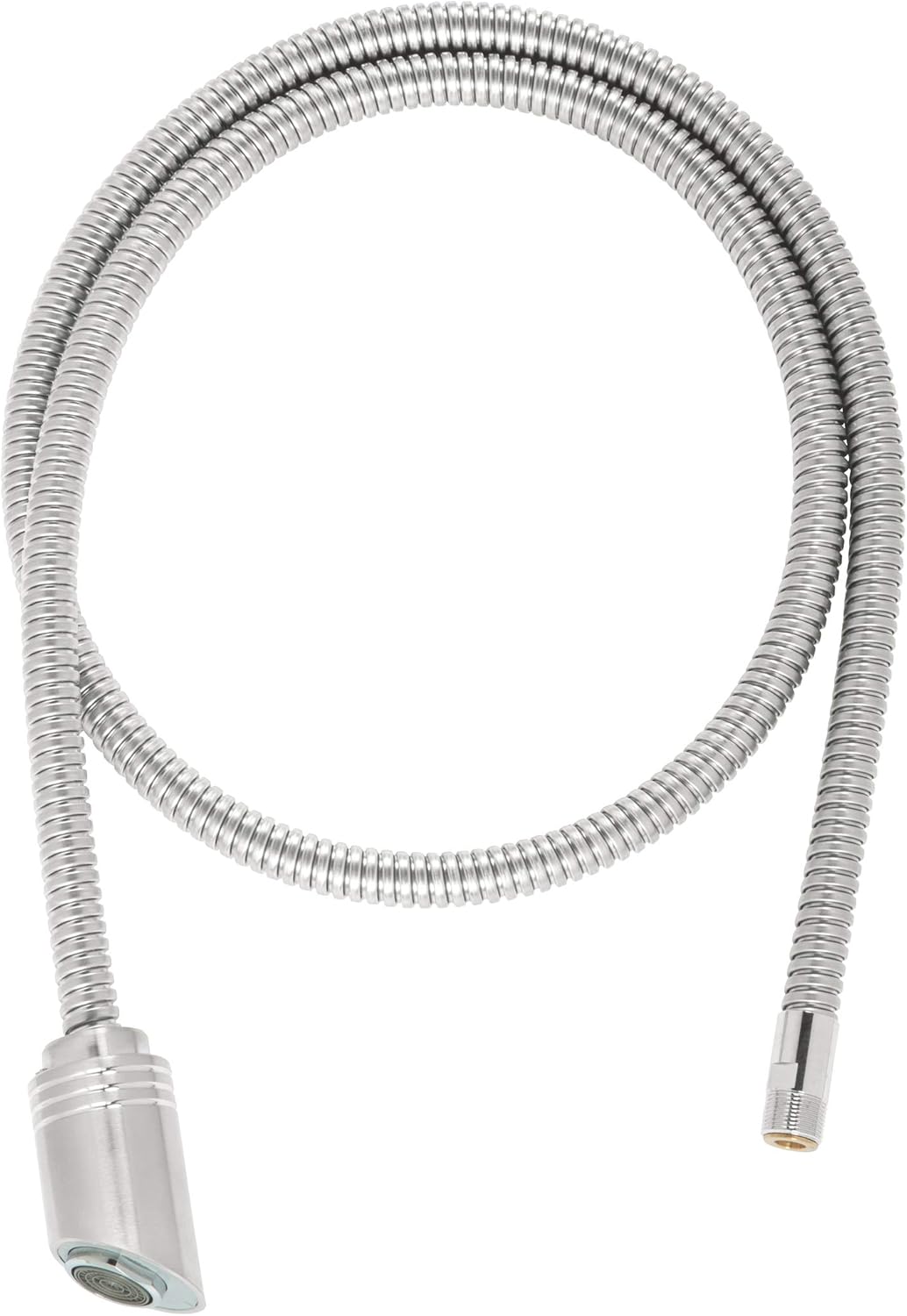 Stainless Steel Finish Hose and Head F7841