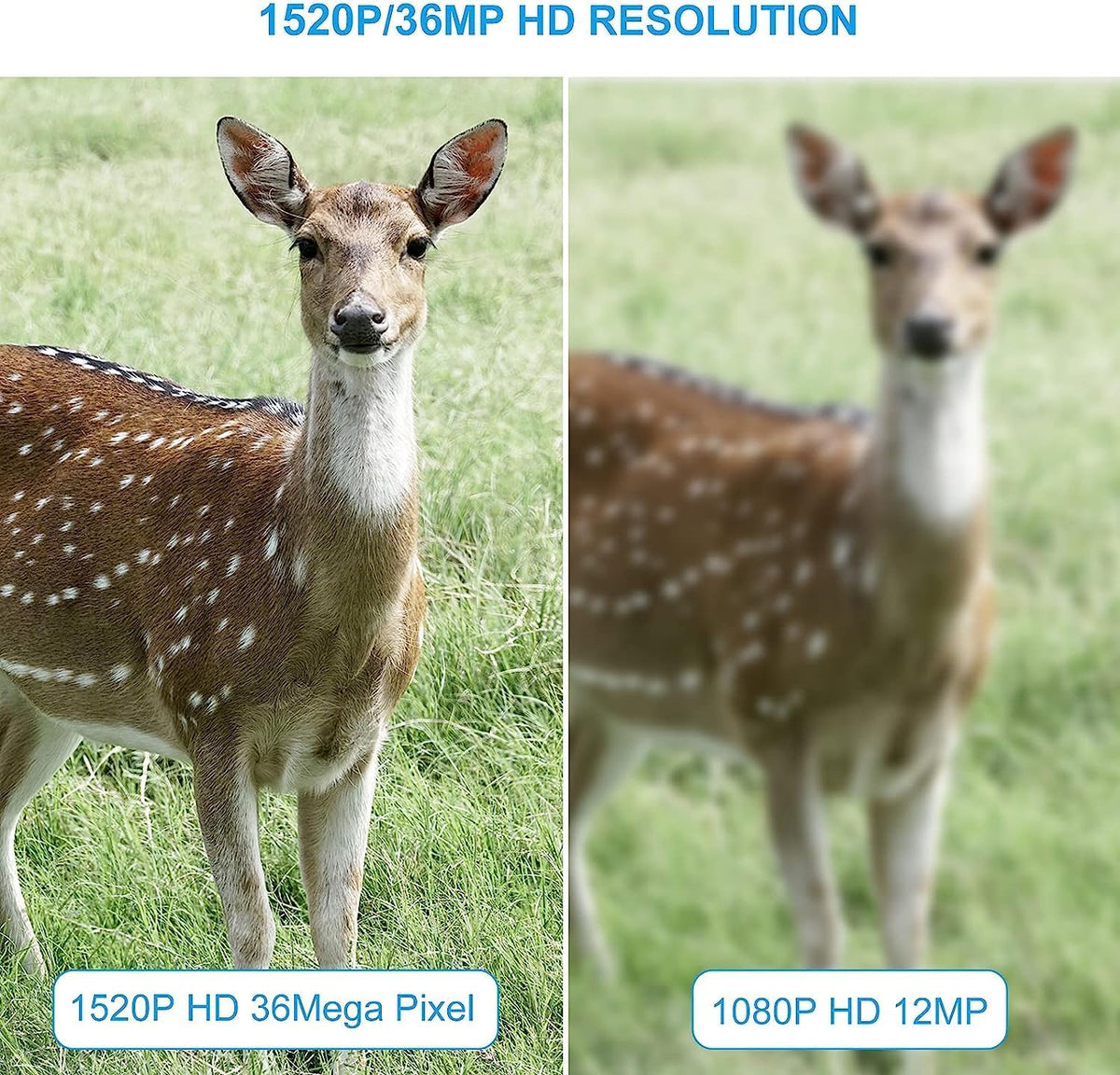 36MP 1520P Night Vision Motion Activated Hunting Camera IP67 Waterproof 120° 65FT 44pcs No Glow LEDs H479