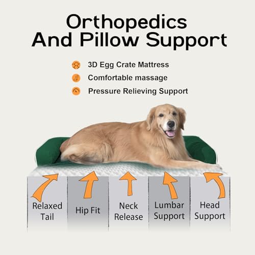 Large Dark Grey Orthopedic Dog Bed with Removable Cover F531354
