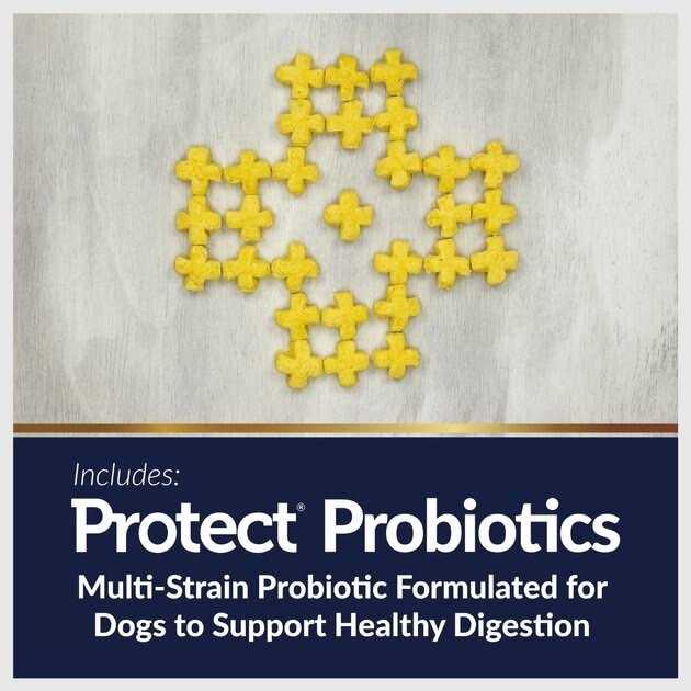 20 oz Digestive Care Dog Treats T24972