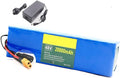 13S3P 48V 20Ah Lithium-Ion E-Bike Battery with Charger Z84931