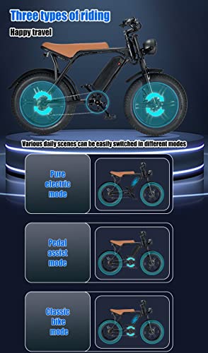 20" Fat Tire 48V 15Ah Removable Battery Electric Bicycle 750W 30MPH Shimano 7 Speed T282