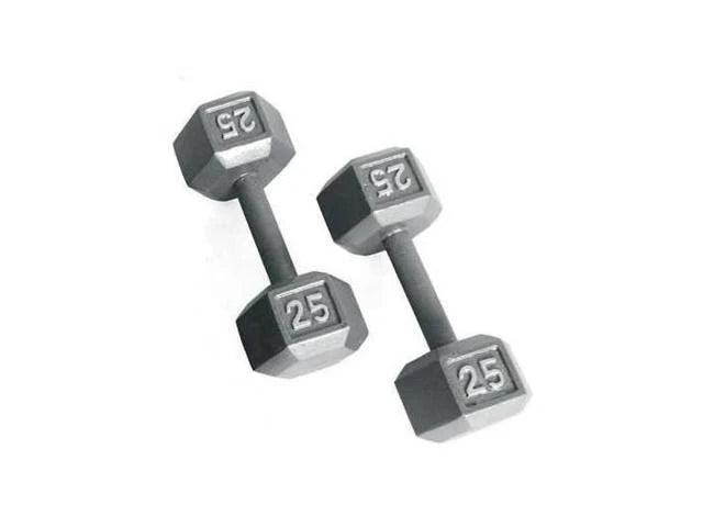 Grey Solid Hex Dumbbell 65 lbs V632