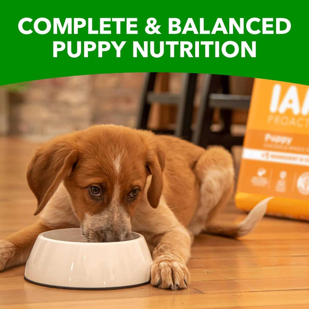 Smart Puppy Dry Dog Food H34433