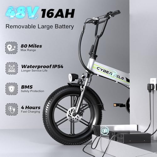 20" Fat Tire 1000W Folding Electric Bike with 48V Removable Battery V370505