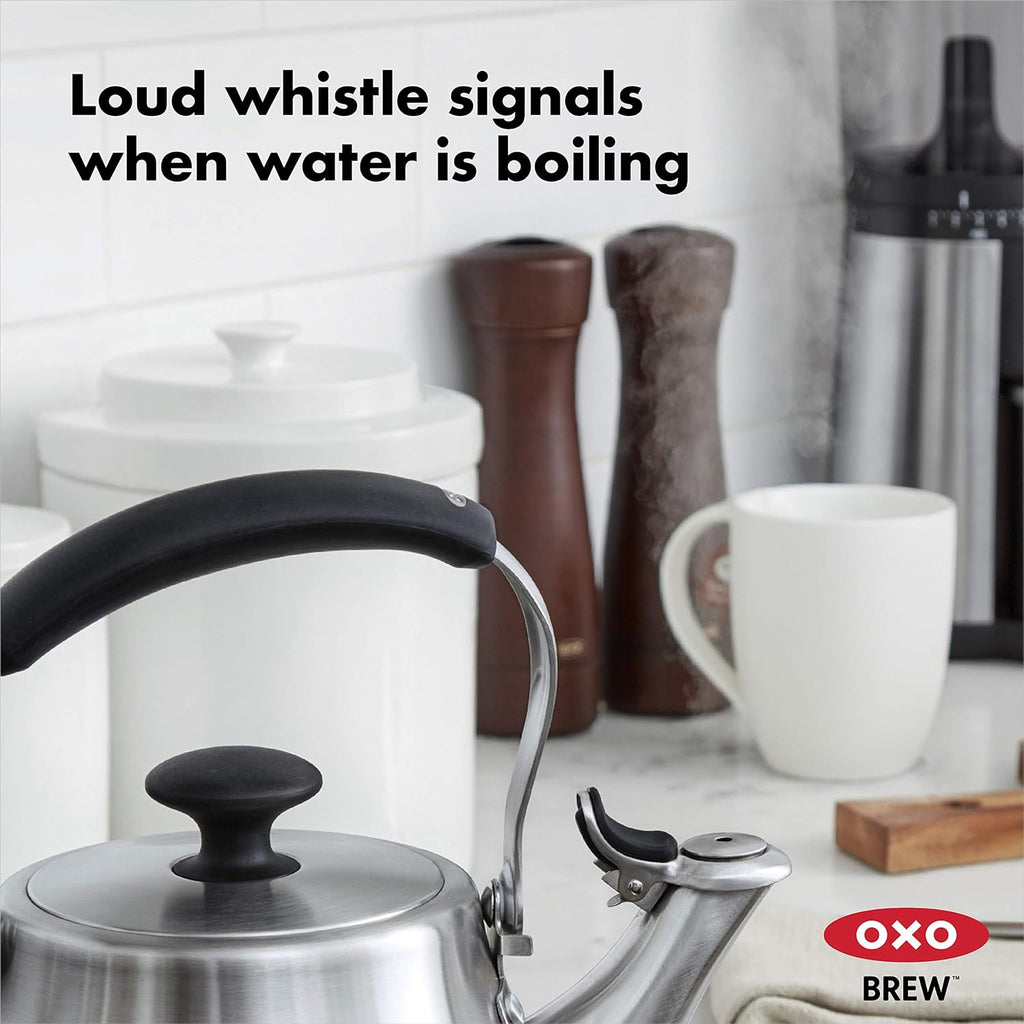 Brushed Stainless Steel Tea Kettle A199975