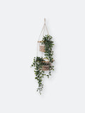 Brown Double Hanging Basket S354