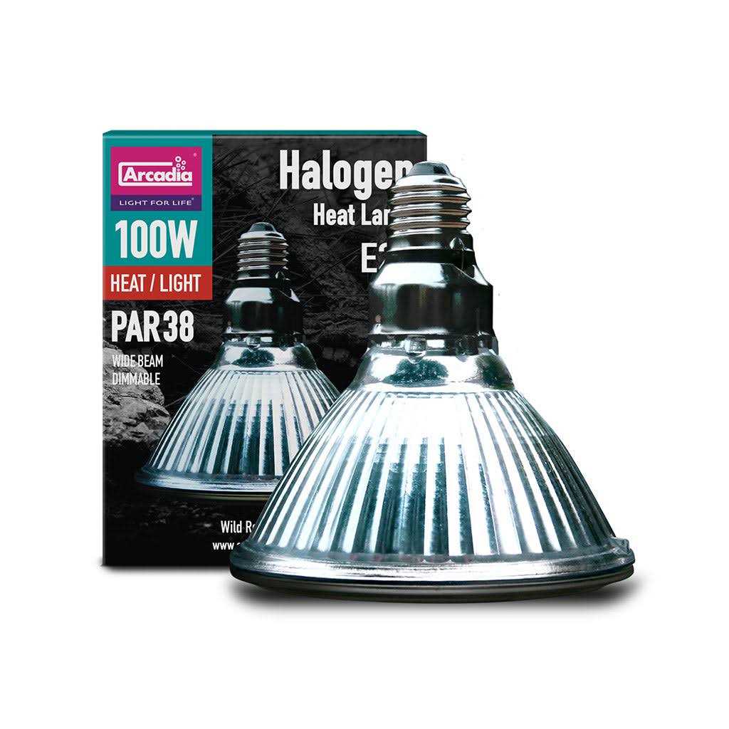 Halogen Heat Lamp L25369