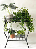 18.7'' Tall Rectangular Metal Plant Stand Black Q7464