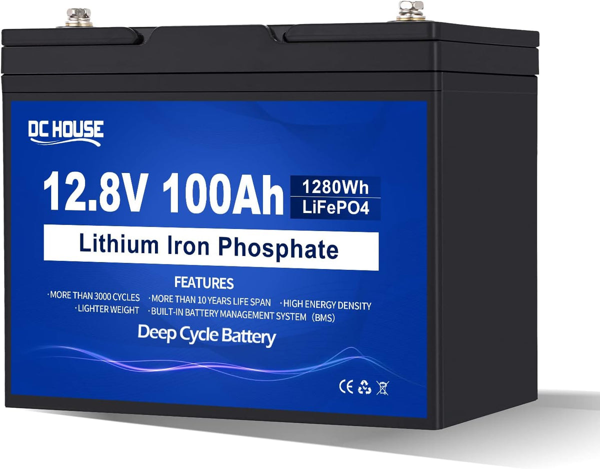 12V 100AH LiFePO4 Lithium Battery with 100A BMS I146