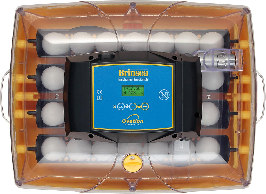 Automatic Egg Incubator with Humidity Display K601