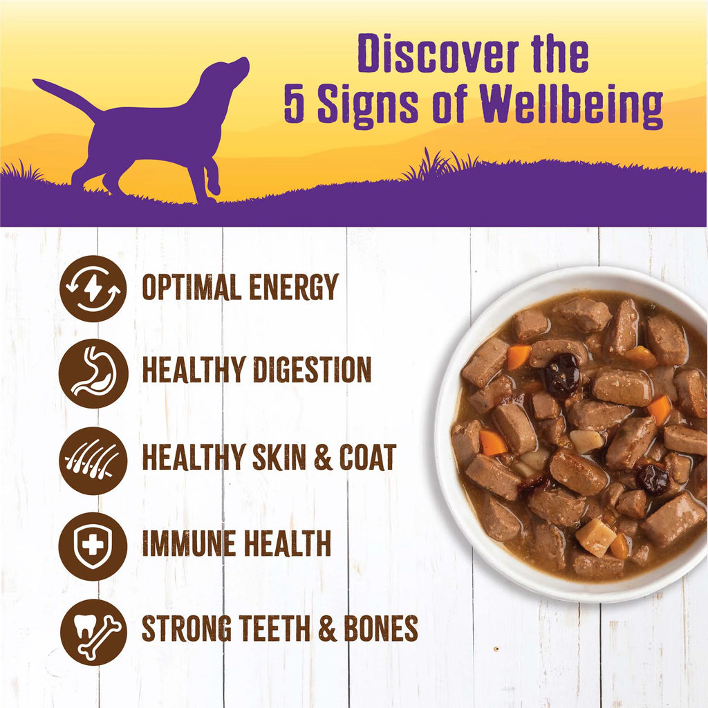 Thick & Chunky Natural Grain Free Canned Dog Food, Turkey & Duck Stew, 12.5-Ounce Can (Pack of 12) P61936