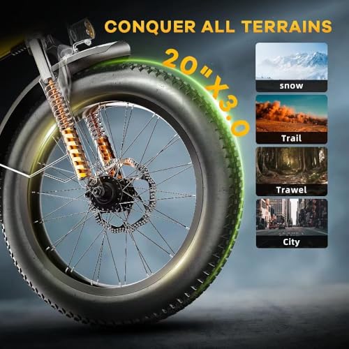 20" Fat Tire 1000W Folding Electric Bike with 48V Removable Battery V370505
