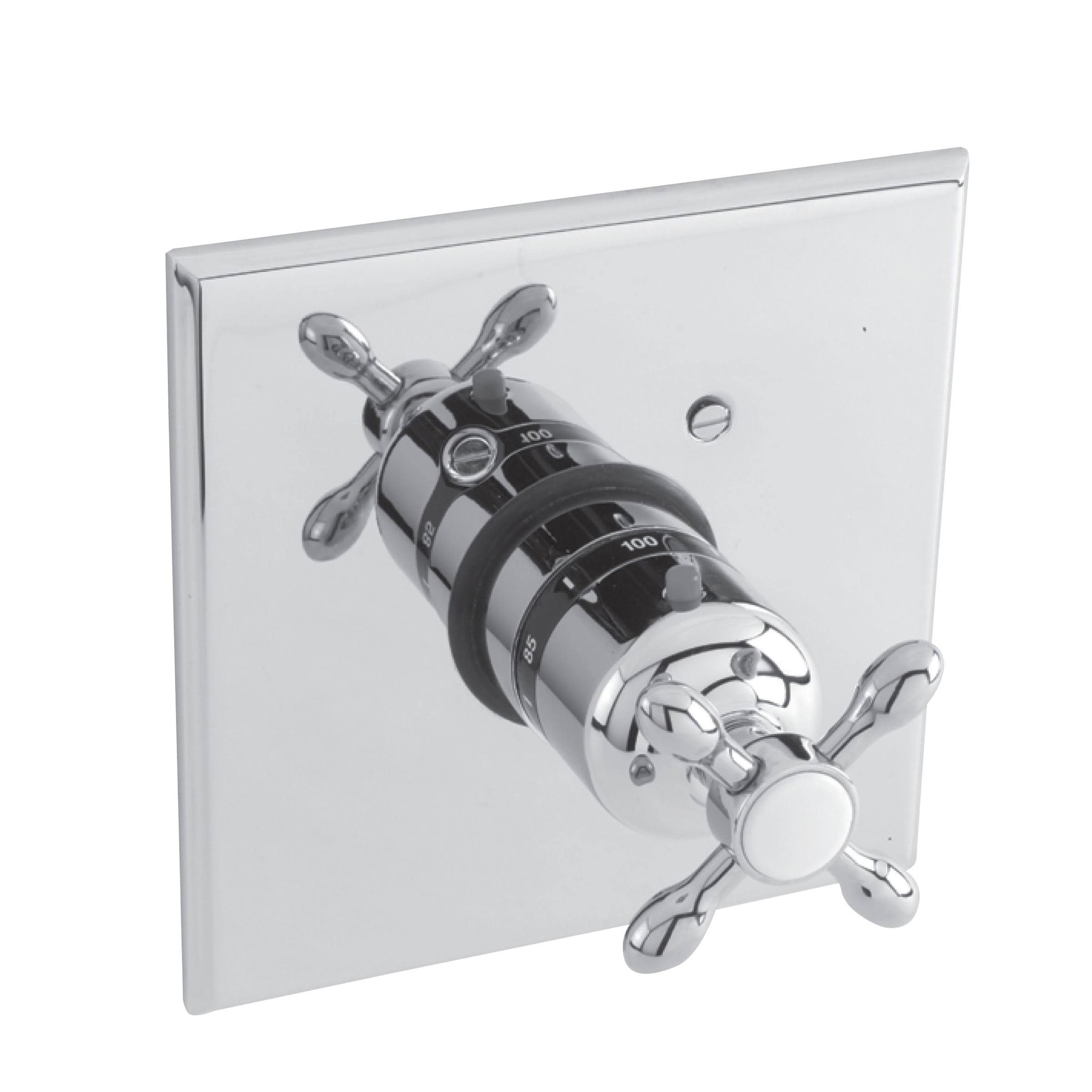Thermostatic Trim Plate White N731109
