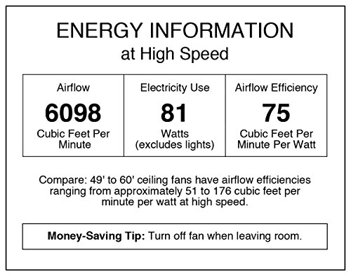 Oil Rubbed Bronze Ceiling Fan with Light Kit Y6659